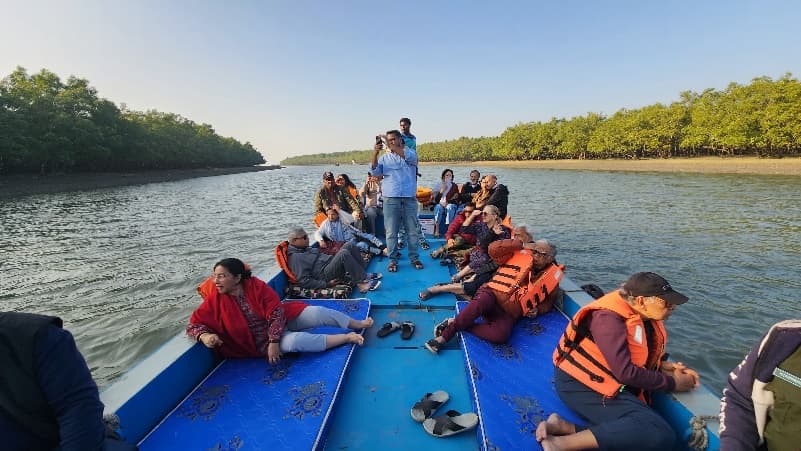 Country boat cruising deep inside the Sundarbans mangrove creeks
