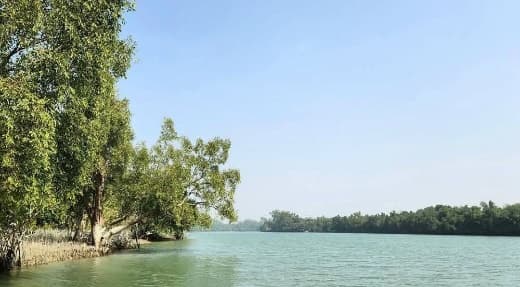 Mangrove-lined channel seen from the water