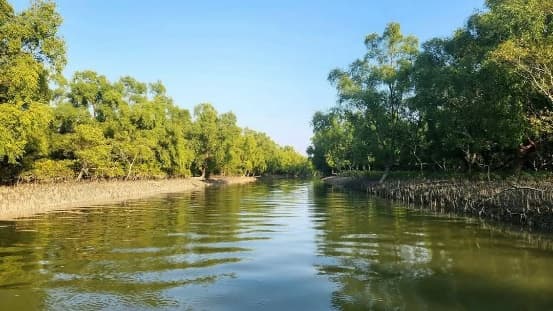 Group of travellers on a Sundarbans beach